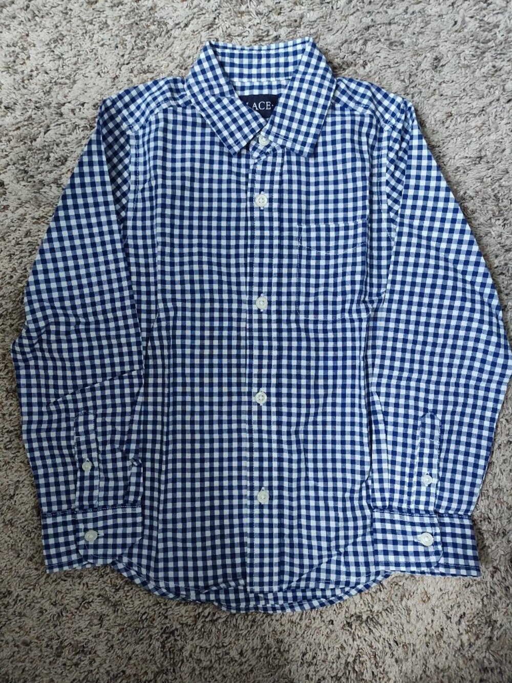 Children's Place Boys Long Sleeve Checkered Blue Shirt